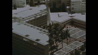 Link to Video | personality