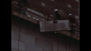 Link to Video | personality