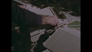 Link to Video | personality