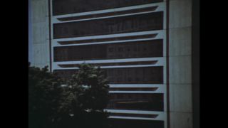 Link to Video | personality