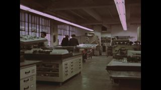 Link to Video | personality