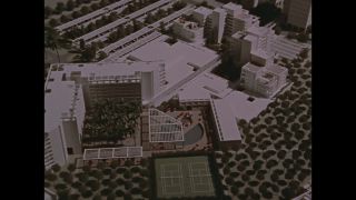 Link to Video | personality