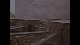 Link to Video | personality