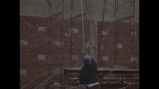 Link to Video | personality