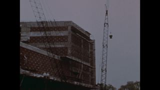 Link to Video | personality