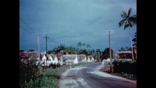 Link to Video | color
