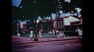 Link to Video | color