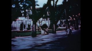 Link to Video | color
