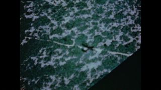 Link to Video | color