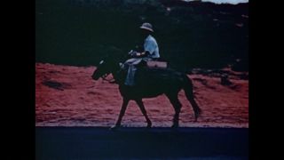 Link to Video | color