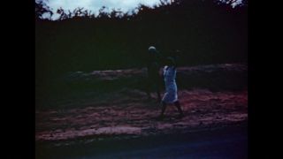 Link to Video | color