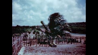 Link to Video | color