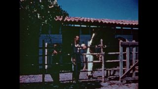 Link to Video | color