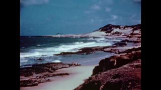 Link to Video | color