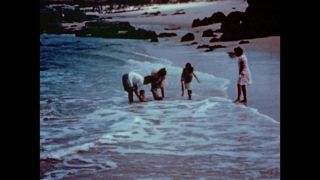 Link zum Video | Farbe