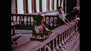 Link to Video | color