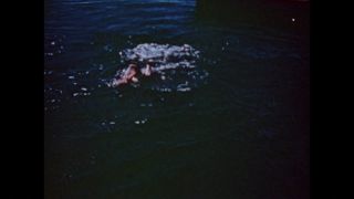 Link to Video | color