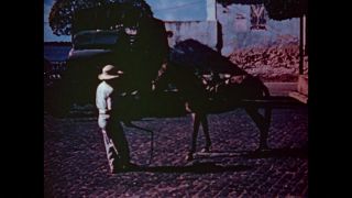Link to Video | color