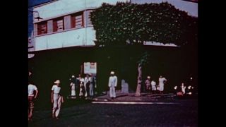Link to Video | color