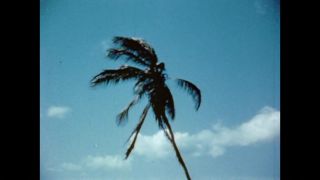 Link zum Video | Farbe