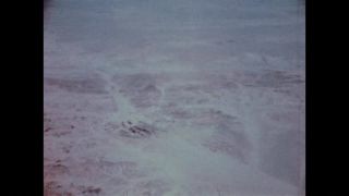 Link to Video | color