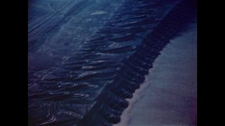 Link to Video | color