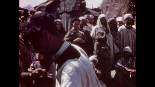 Link to Video