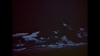 Link to Video