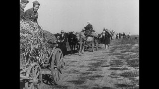 Link to Video | World War II