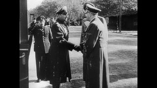 Link to Video | personality