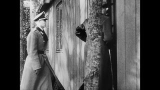 Link to Video | personality