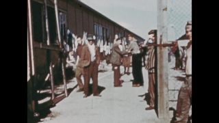 Link to Video | color, antisemitism, Third Reich