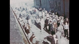 Link to Video | color, antisemitism, Third Reich