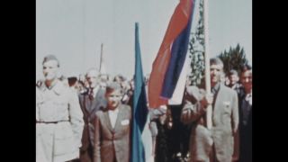 Link to Video | color