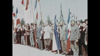 Link to Video | color