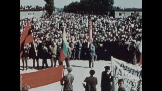 Link to Video | color