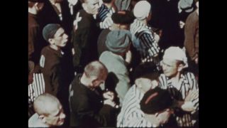 Link to Video | color, antisemitism, Third Reich