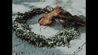 Link to Video | color, antisemitism, Third Reich