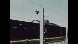 Link to Video | color, antisemitism, Third Reich