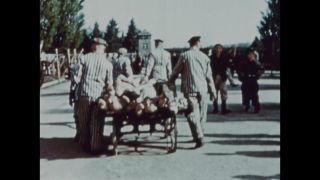 Link zum Video | Farbe