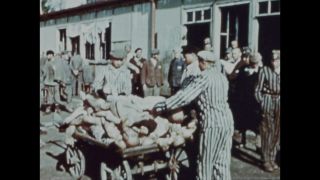 Link to Video | color, antisemitism, Third Reich