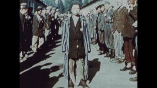 Link to Video | color