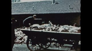 Link to Video | color, antisemitism, Third Reich
