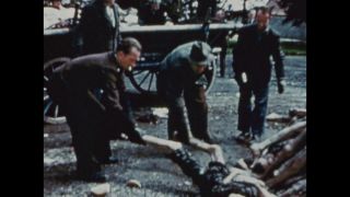 Link zum Video | Farbe