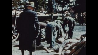 Link to Video | color