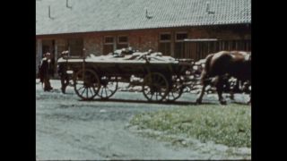 Link to Video | color, antisemitism, Third Reich
