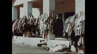 Link to Video | color, antisemitism, Third Reich
