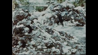 Link to Video | color