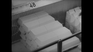 Link to Video | 1965, West Berlin, West Berlin, Berlin, West Germany