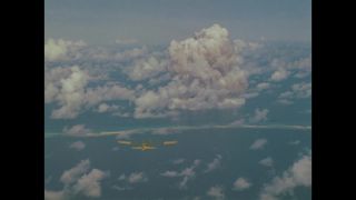 Link to Video
